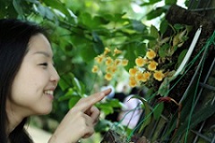 田部井美幸メイン