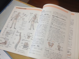 photo 3 (6)